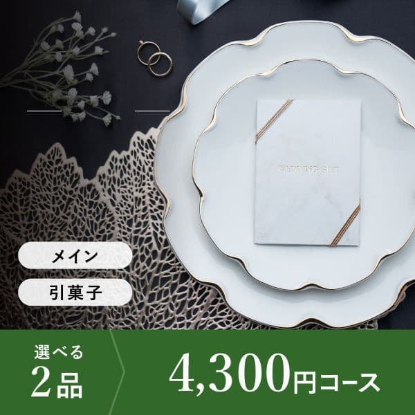 2品選べる 4,300円コース