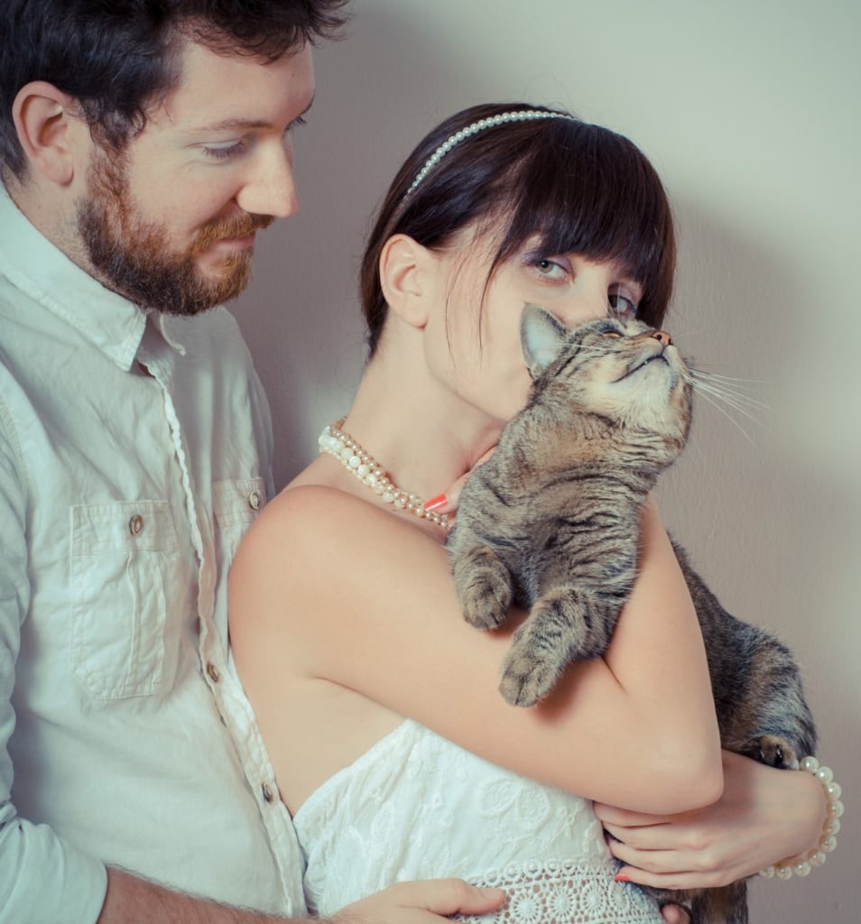 愛猫の参加がngでも諦めないで ねこウェディングを叶える方法 アンシェウェディングの結婚式準備ガイド