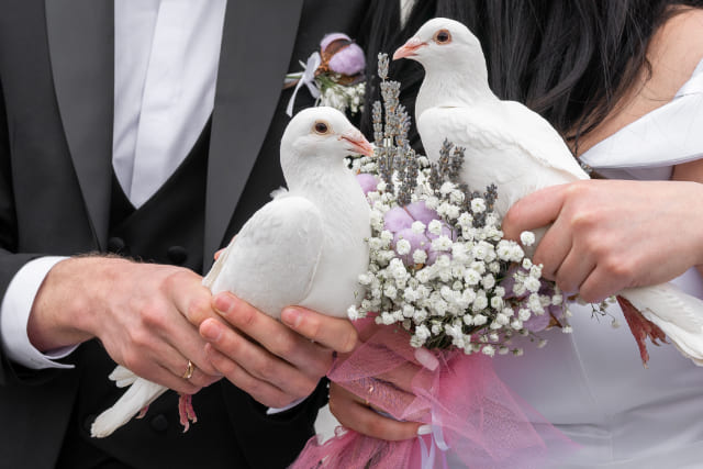 結婚式場の鳥